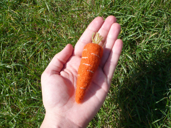 carotte-broche-2.jpg