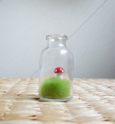 fiole-champignon-miniature.jpg